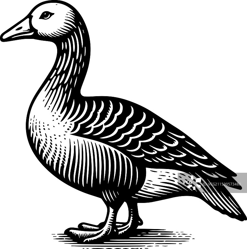 简单的美国水鸭站立图标复古风格图片素材