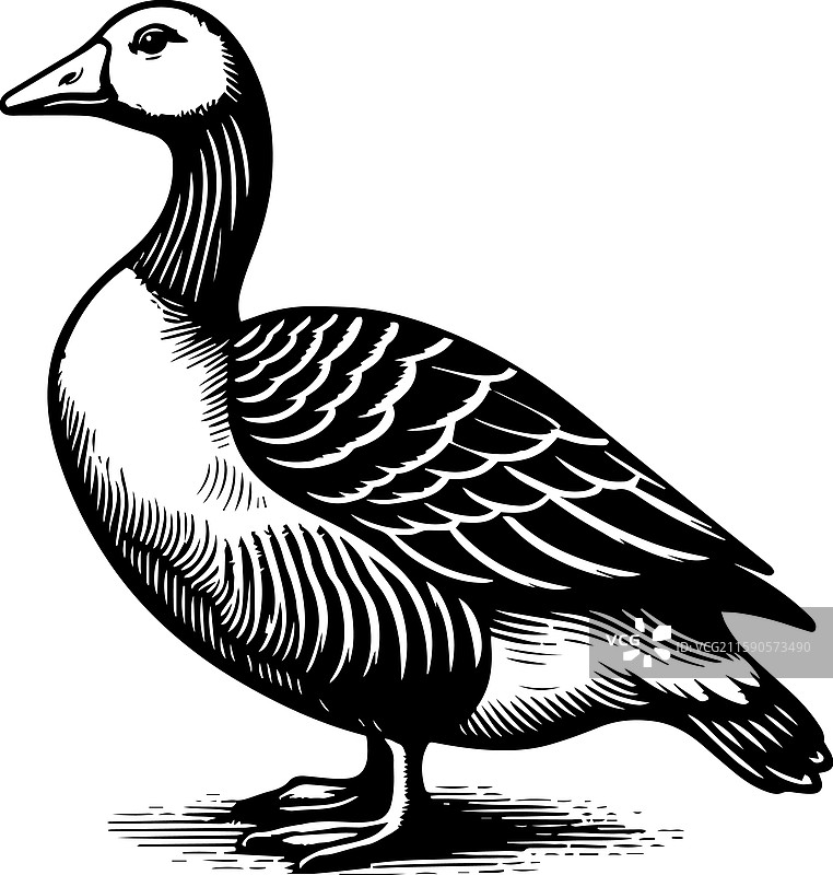 简单的美国水鸭站立图标，复古风格图片素材