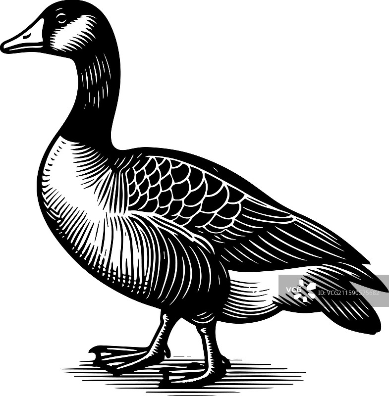 简单的美国水鸭站立图标，复古风格图片素材