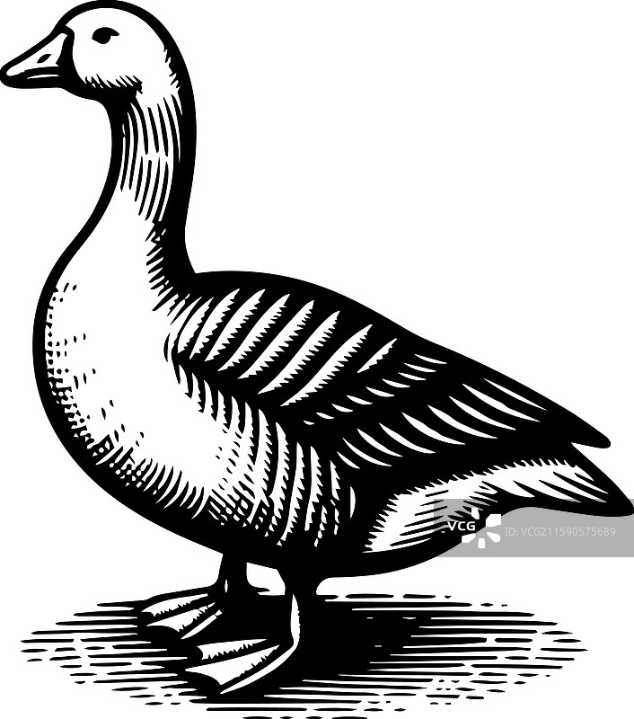 简单的美国水鸭站立图标，复古风格图片素材
