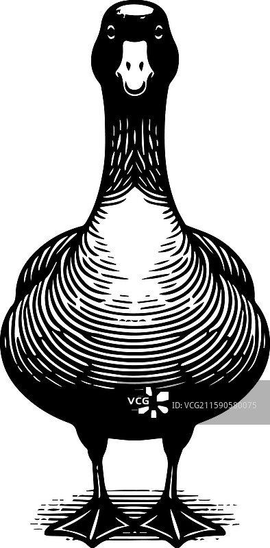 简单的美国水鸭站立图标复古风格图片素材