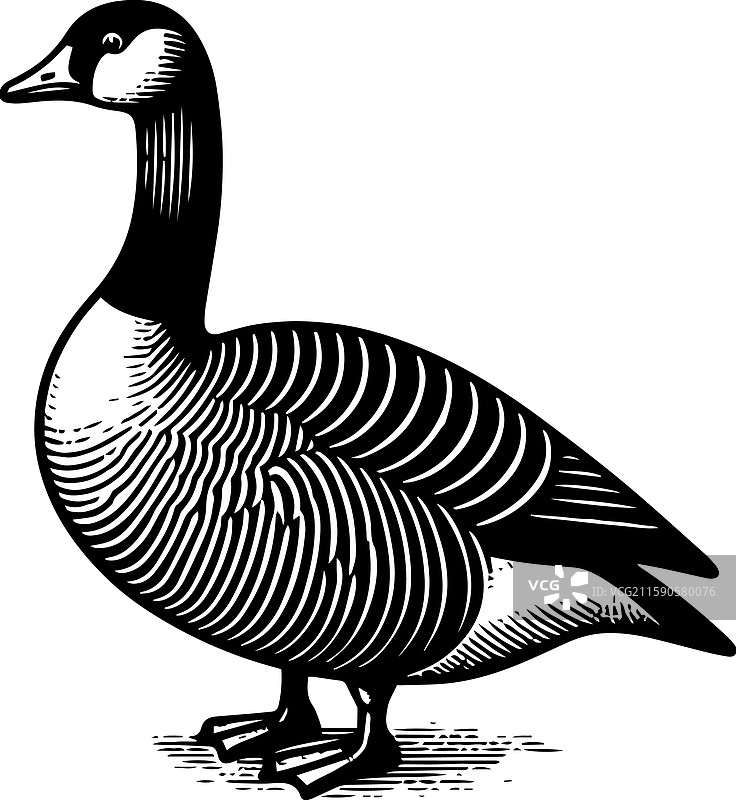 简单的美国水鸭站立图标，复古风格图片素材
