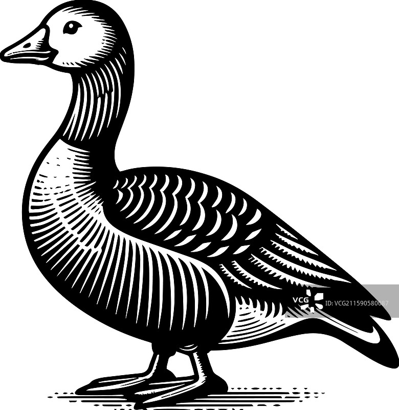 简单的美国水鸭站立图标复古风格图片素材