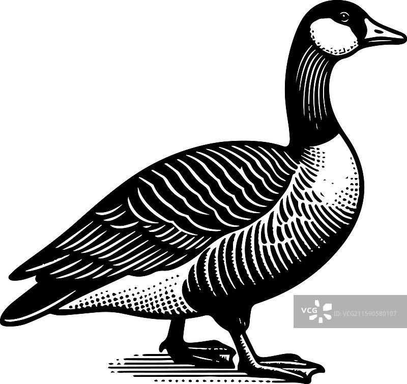 简单的美国水鸭站立图标复古风格图片素材