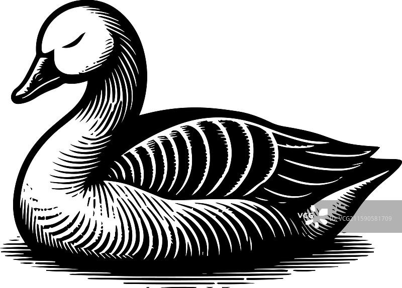 简单的图卢兹鹅睡觉图标复古标志图片素材