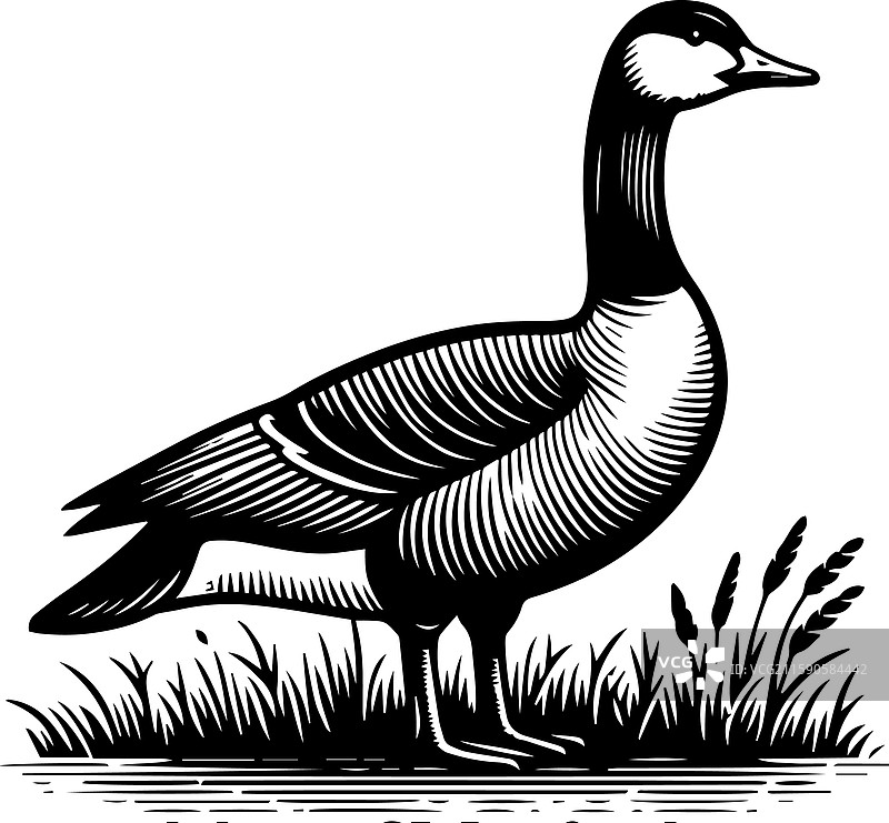 简单的图卢兹鹅站立图标复古标志图片素材