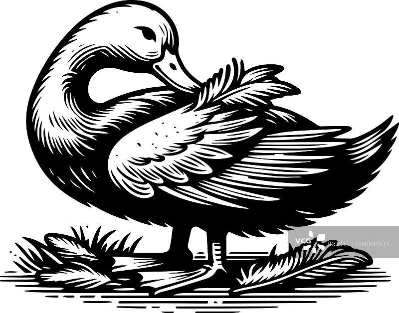 简单的北京鸭梳理羽毛图标 复古风格图片素材