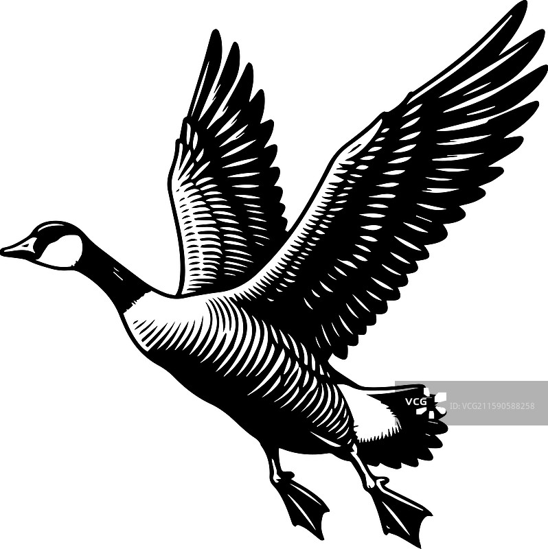 简单的图卢兹鹅飞行图标复古标志图片素材