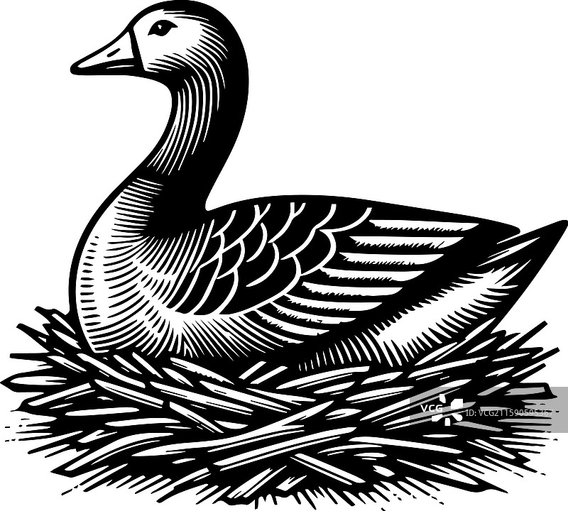 简单的图卢兹鹅巢图标复古标志图片素材