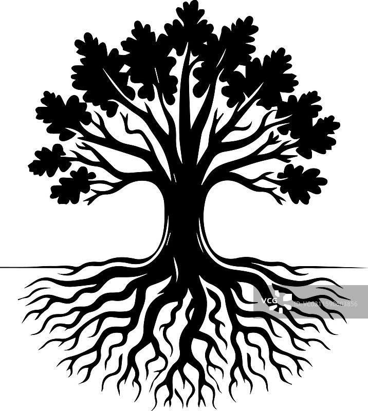 简约橡树根图标现代标志图片素材