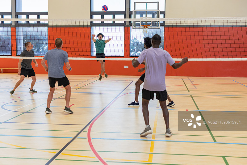 一群男人在木地板的体育馆里打排球，场地上有网和涂漆的线条。图片素材