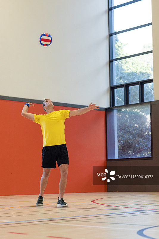 穿着黄色衬衫的男性排球运动员在木质运动场上抛起红白蓝相间的排球图片素材