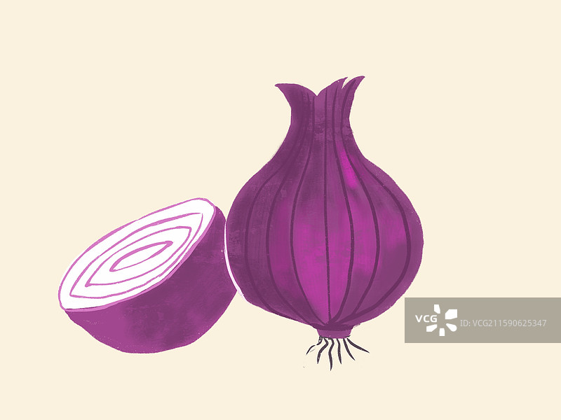 洋葱图片素材