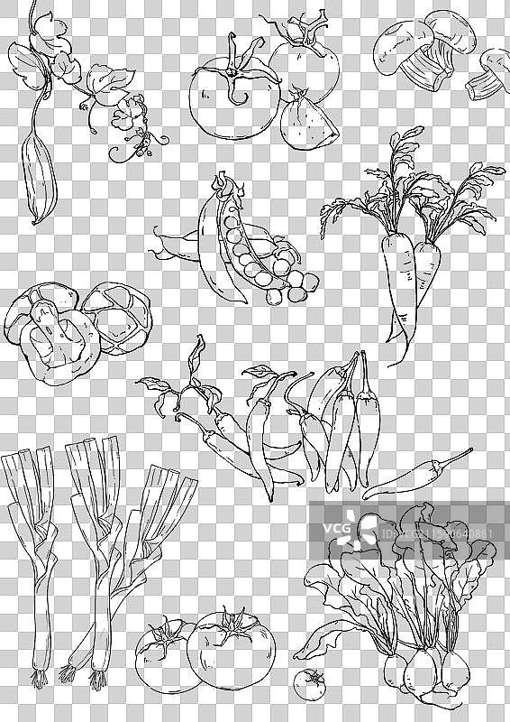 蔬菜线稿免抠元素png图片素材