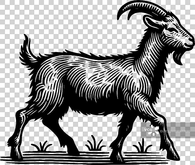 简单的拉曼查山羊行走图标设计，复古风格图片素材