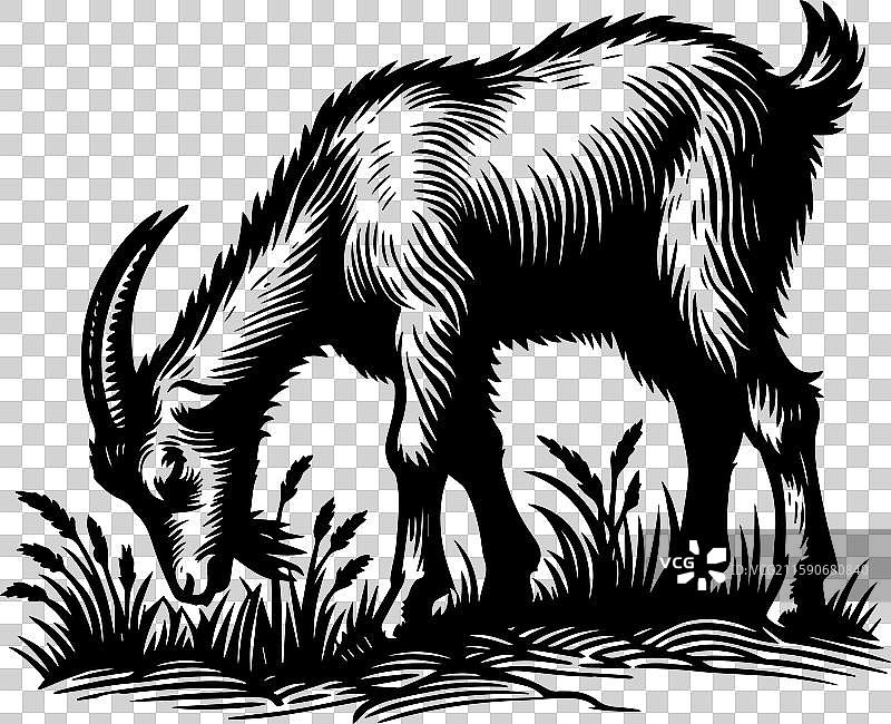 简单的拉曼查山羊放牧图标设计，复古风格图片素材