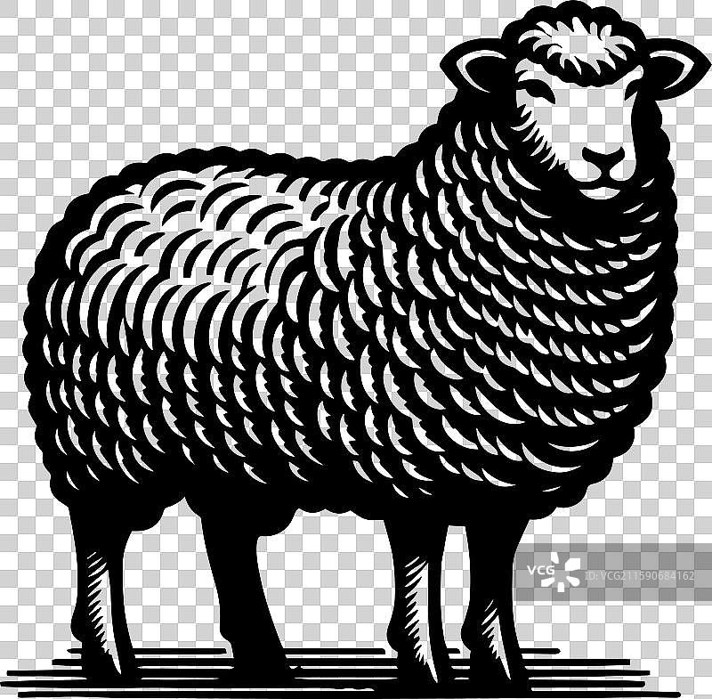 简单的萨福克羊侧面图标设计图片素材