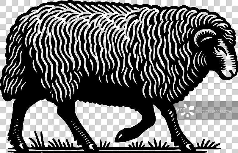 简单的萨福克羊行走图标设计，复古风格图片素材