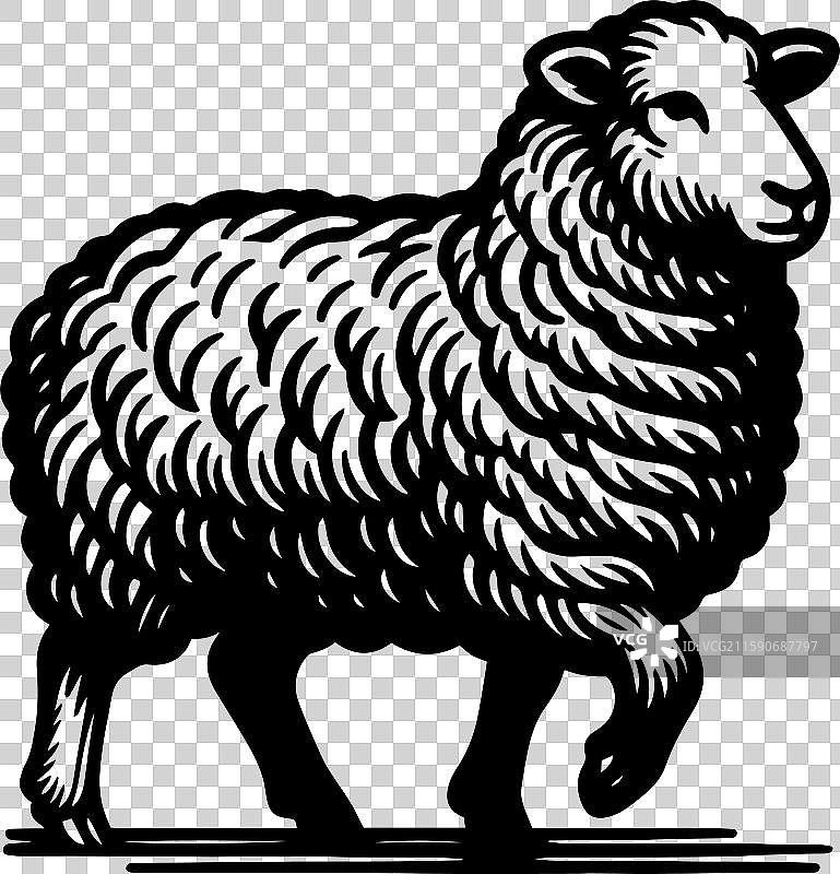 简单的萨福克羊行走图标设计，复古风格图片素材