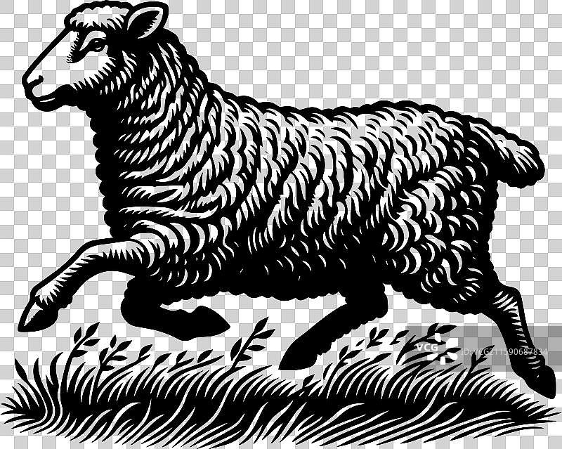 简单的萨福克羊奔跑图标设计，复古风格图片素材