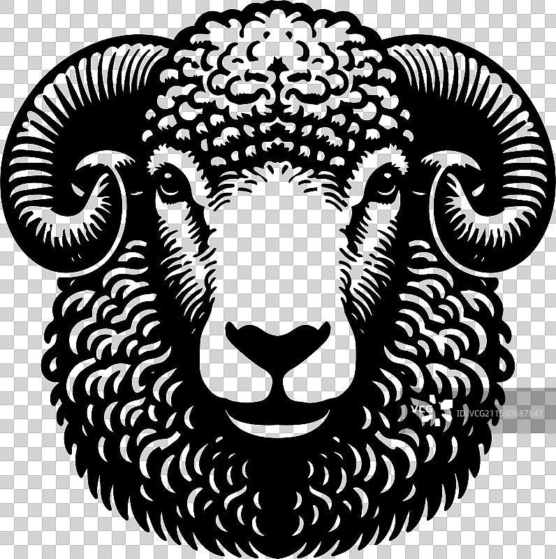 简单的萨福克羊正面图标设计图片素材