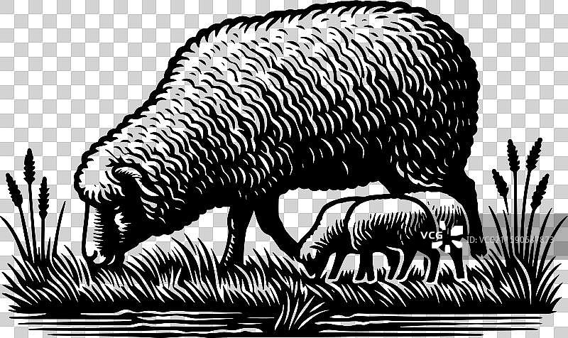 简单的萨福克羊在草地上吃草的复古图标设计图片素材