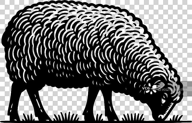 简单的萨福克羊在草地上吃草的复古图标设计图片素材