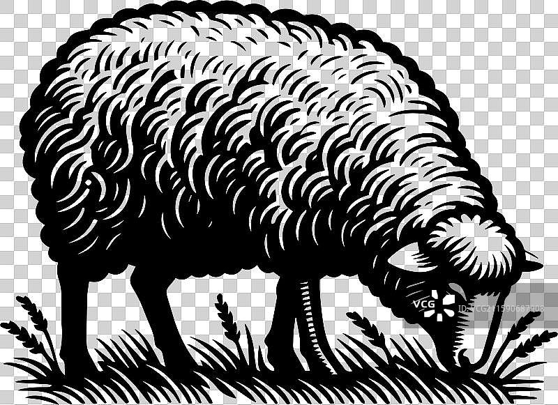 简单的萨福克羊在草地上吃草的复古图标设计图片素材