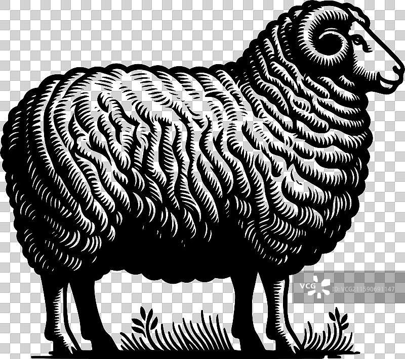简单的萨福克羊侧面图标设计图片素材