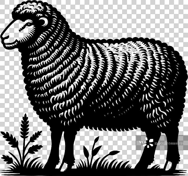 简单的萨福克羊侧面图标设计图片素材