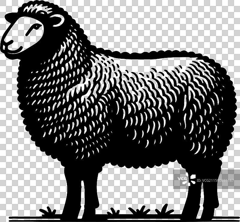 简单的萨福克羊侧面图标设计图片素材