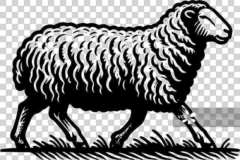 简单的萨福克羊奔跑图标设计，复古风格图片素材