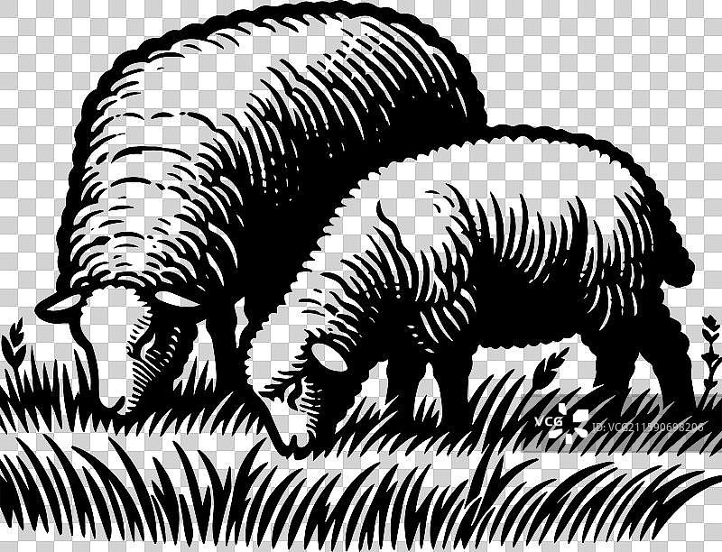 简单的萨福克羊在草地上吃草的复古图标设计图片素材