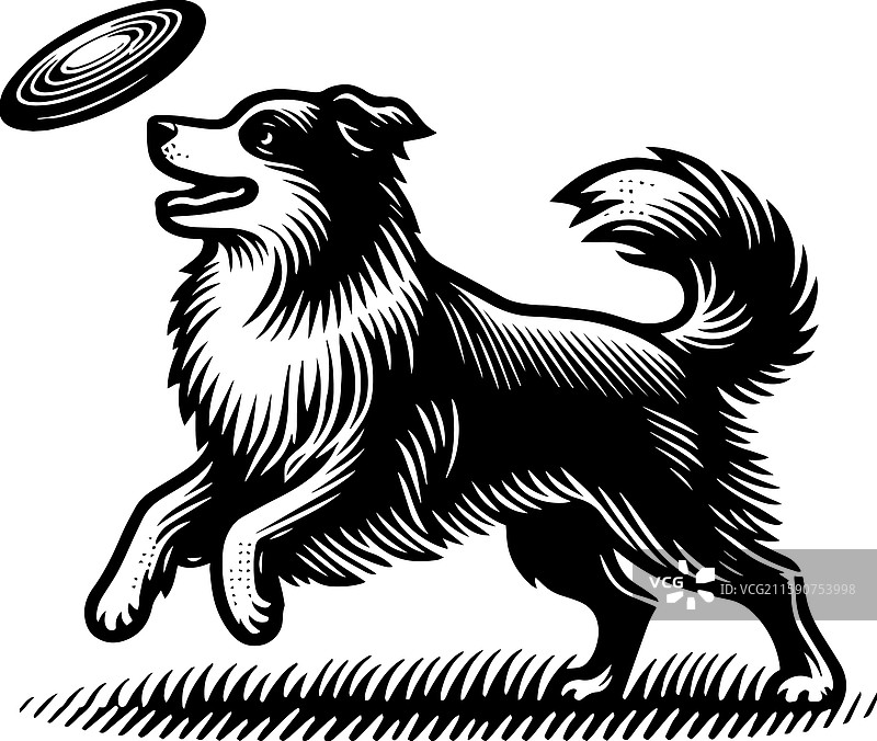 复古风格的边境牧羊犬玩飞盘图标图片素材