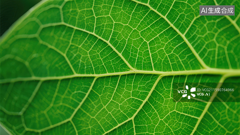 【AI数字艺术】树叶脉络纹理微距特写图片素材