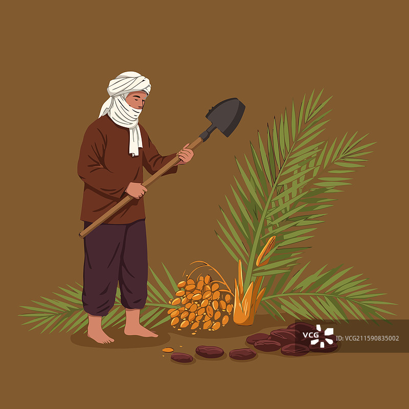 收获枣子的人在棕榈树旁拿着铲子图片素材