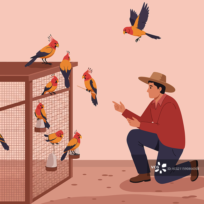 鸟类饲养员与异国鹦鹉互动图片素材
