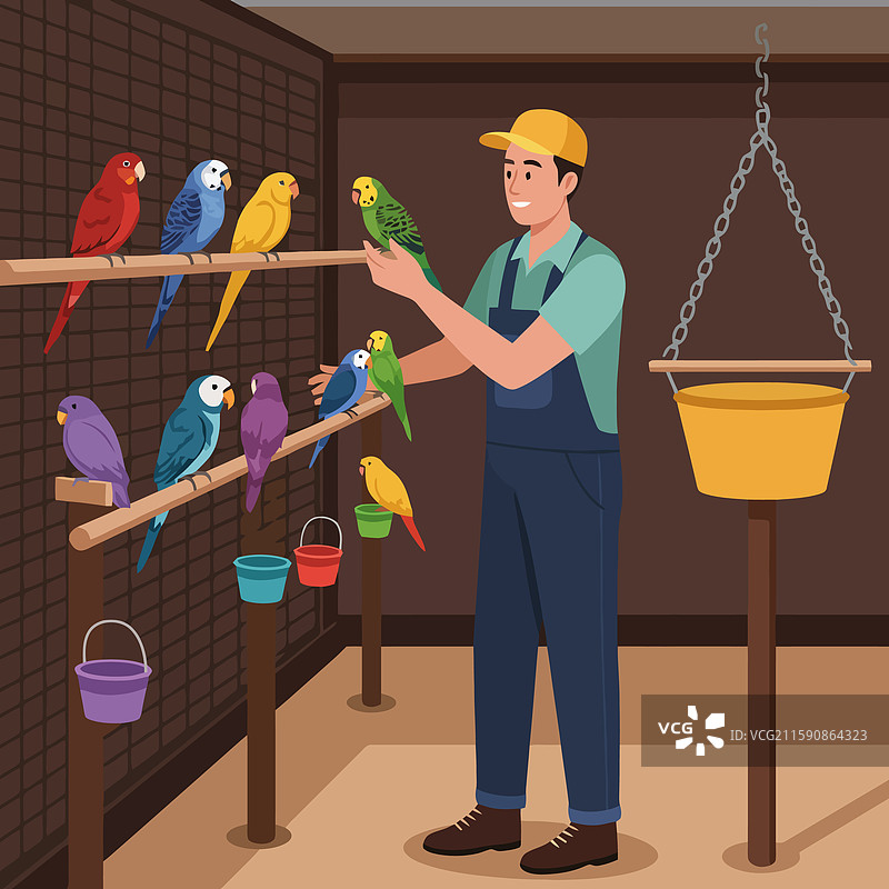 在鸟舍中照顾五彩斑斓的鸟类图片素材