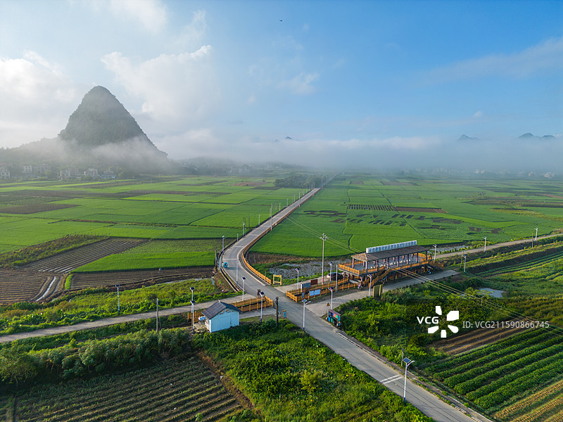 航拍清晨的马兰稻田画（在阳春，遇稻美好）风光，中国广东省阳江市阳春市马水镇马兰村图片素材