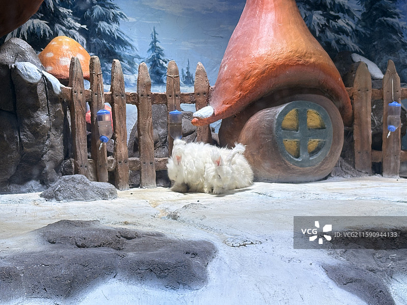 童话风格雪景中的白色毛茸茸动物图片素材