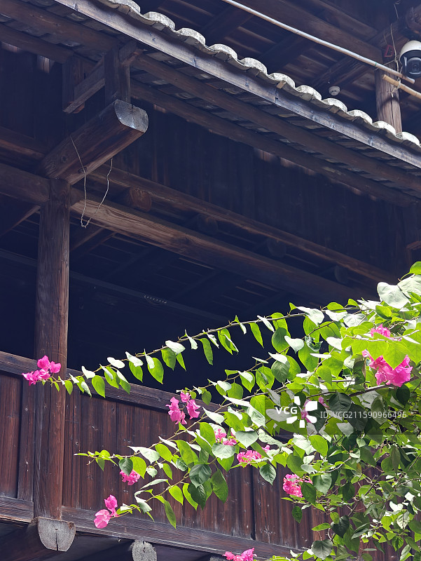 客家土楼-云水谣景区-和贵楼-建在沼泽地上的土楼图片素材