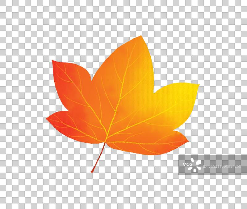 免抠元素 植物风景插画 一片黄色的叶子图片素材