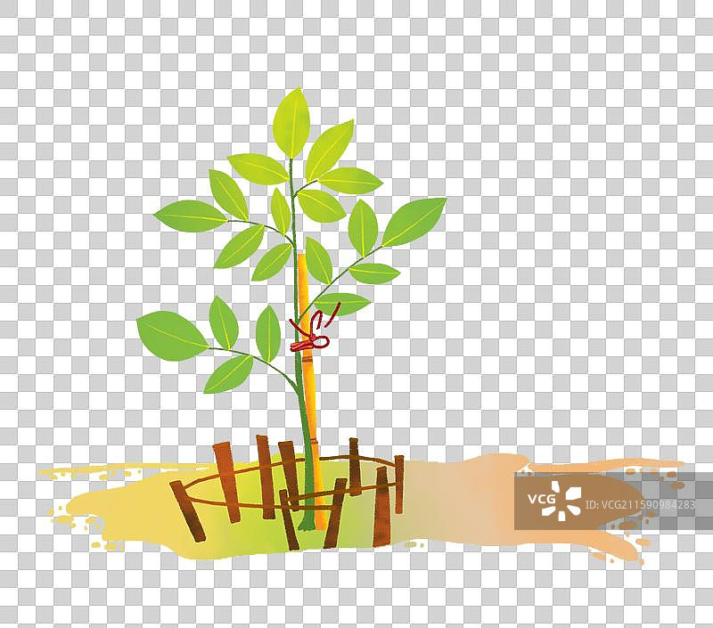 免抠元素 植物风景插画 地面上捆绑的一株树苗图片素材