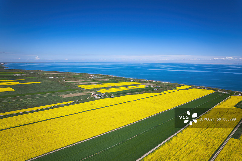 青海省青海湖和青稞麦田油菜花航拍自然风光图片素材