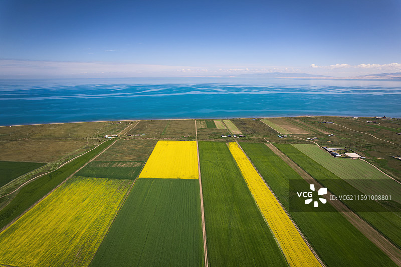 青海省青海湖和青稞麦田油菜花航拍自然风光图片素材