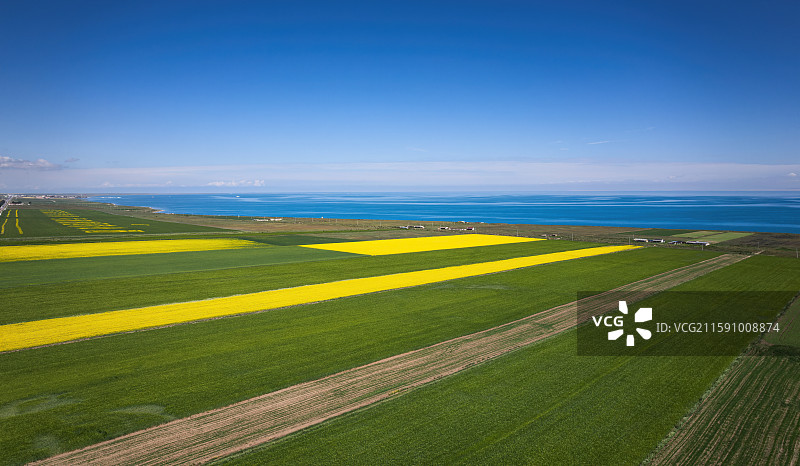 青海省青海湖和青稞麦田油菜花航拍自然风光图片素材