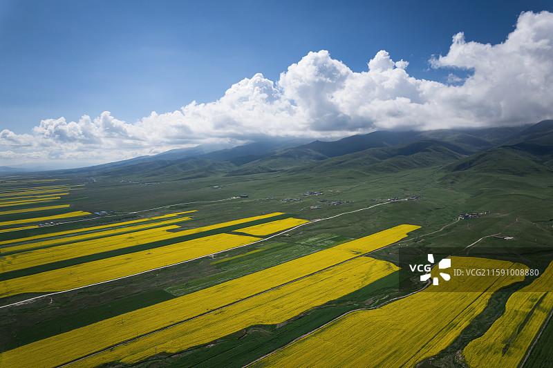 青海省青海湖和青稞麦田油菜花航拍自然风光图片素材