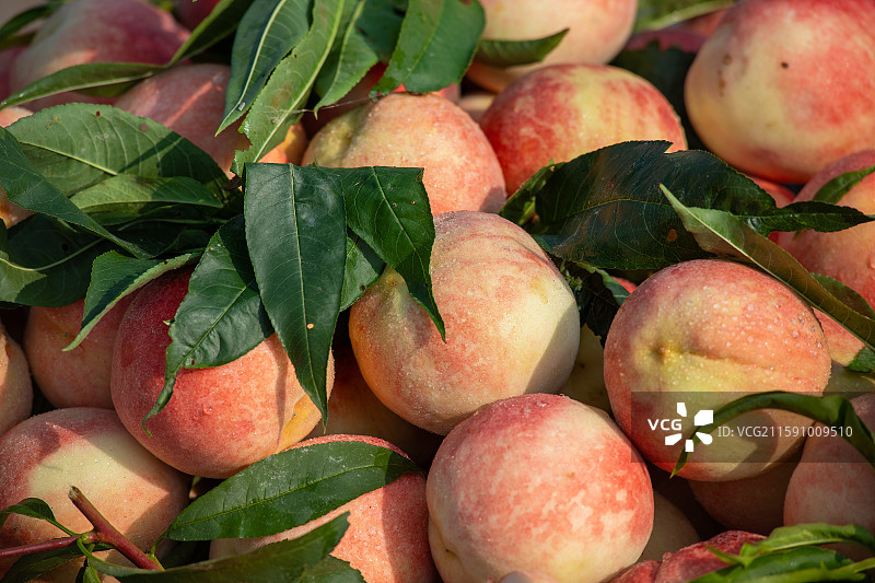 新鲜的桃子，水果，集市图片素材