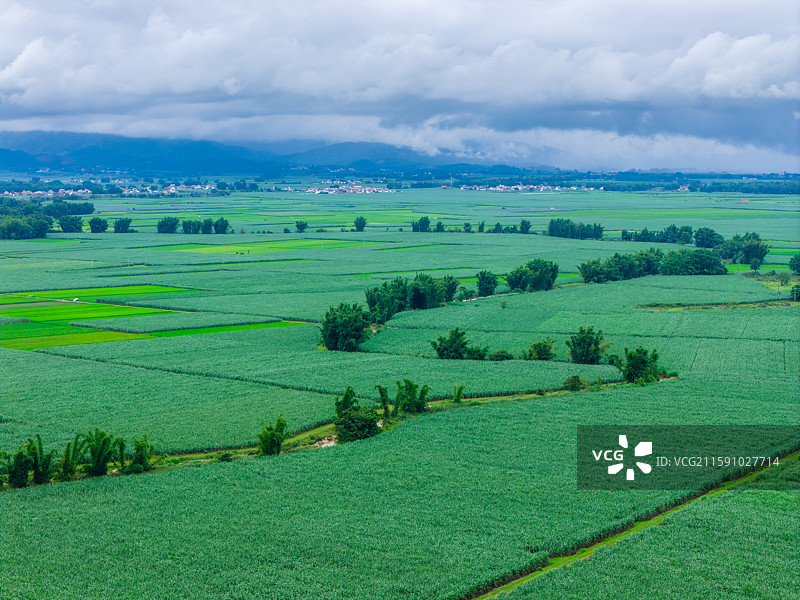 云南省德宏州陇川县田园风光图片素材