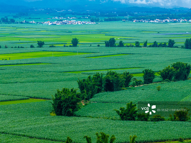 云南省德宏州陇川县田园风光图片素材